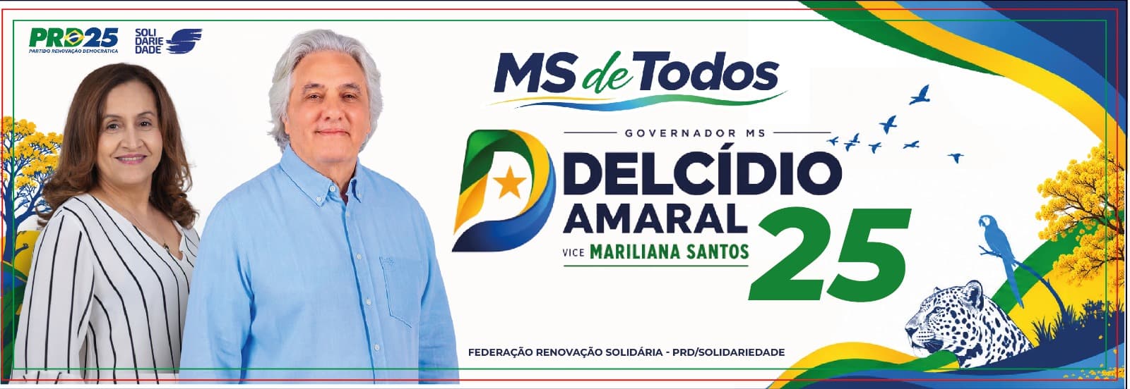 Identidade oficial da campanha MS de TODOS
